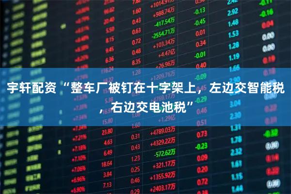 宇轩配资 “整车厂被钉在十字架上，左边交智能税，右边交电池税”
